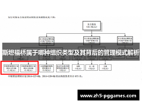 斯坦福桥属于哪种组织类型及其背后的管理模式解析