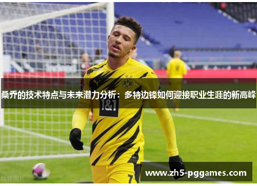 桑乔的技术特点与未来潜力分析:多特边锋如何迎接职业生涯的新高峰 桑乔的技术特点与未来潜力分析:多特边锋如何迎接职业生涯的新高峰